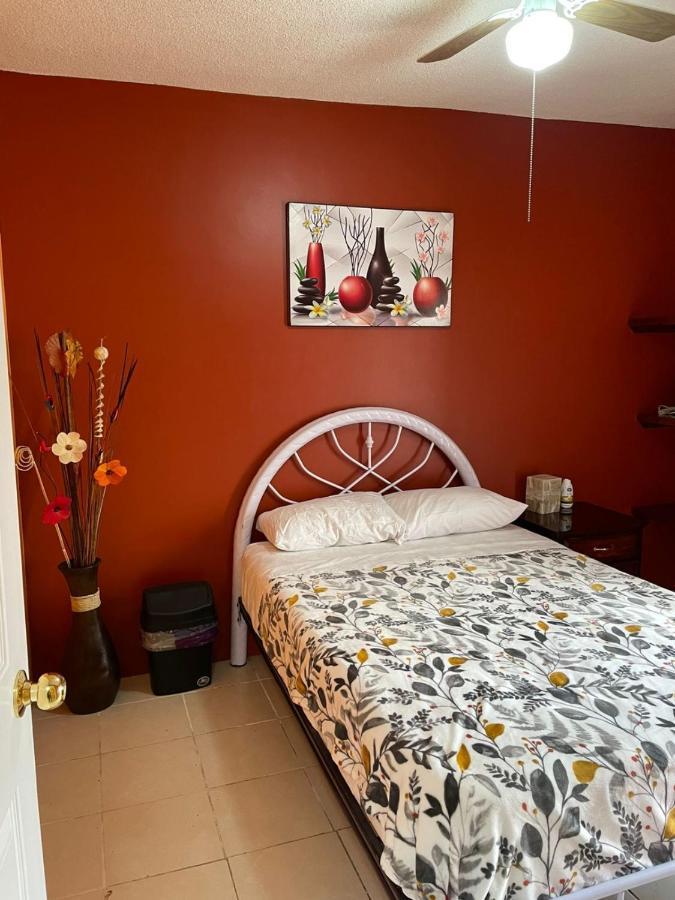 Sensity Home Casa Reforma, Hogarena Y Luminosa Теуакан Экстерьер фото